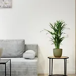 Rigaapartment Elizabetes 22 Self-service Riga