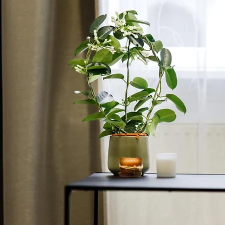 Apart Otel Rigaapartment Elizabetes 22 Self-service 4*