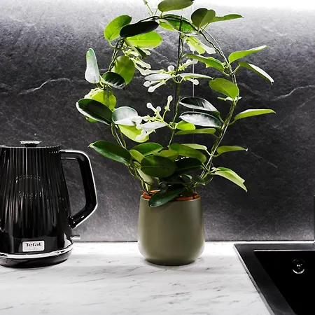 Rigaapartment Elizabetes 22 Self-service מלון דירות ריגה