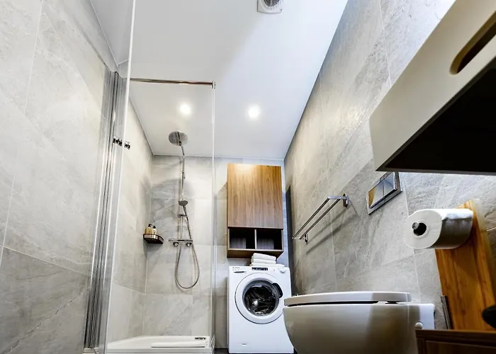 Rigaapartment Elizabetes 22 Self-service 4* Riga