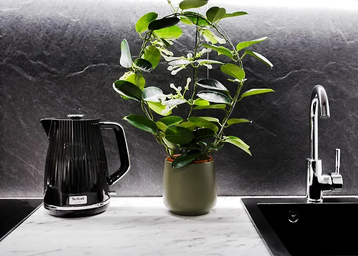 Rigaapartment Elizabetes 22 Self-service Appart hôtel Riga