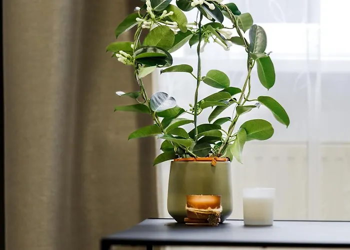 Appart hôtel Rigaapartment Elizabetes 22 Self-service 4*