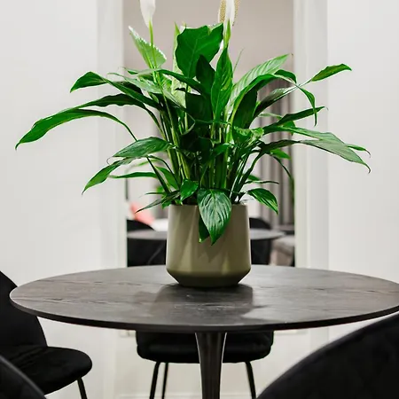 Rigaapartment Elizabetes 22 Self-service Riga