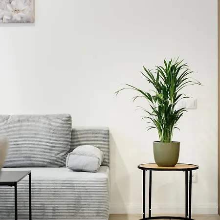 Rigaapartment Elizabetes 22 Self-service Riga
